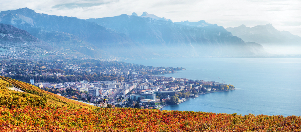 Paysage